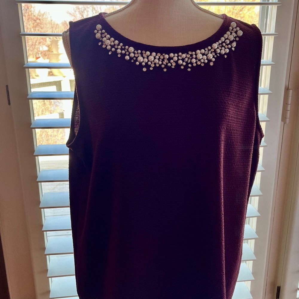 Ann Taylor Factory sleeveless blouse.